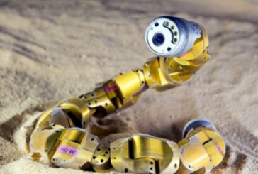 Séisme à Mexico : des robots-serpents ont participé aux recherches !