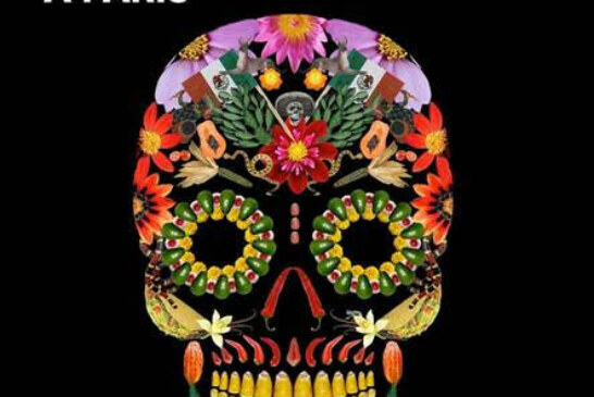 Paris – XVIe Fête des Morts 2018 du 25 au 31 octobre ! Programme..