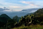 La vallée de Tehuacan-Cuicatlan au patrimoine de l’Unesco ! (Video)
