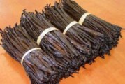 Histoire – La vanille de Papantla Veracruz, une saveur toute mexicaine ! (Videos)