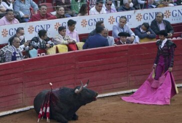 Dossier – La corrida pourrait être interdite à Mexico !