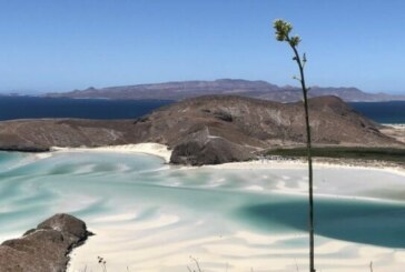 Basse-Californie : l’autre Mexique 100% nature !